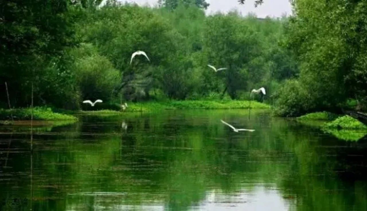 杭州西溪·素上藝術(shù)酒店，春天最美好的奇遇