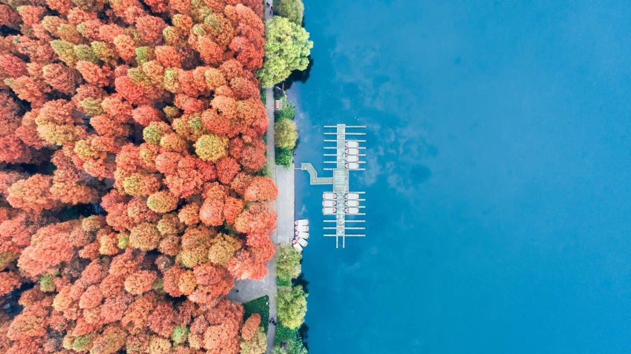 杭州西溪·素上藝術(shù)酒店，春天最美好的奇遇