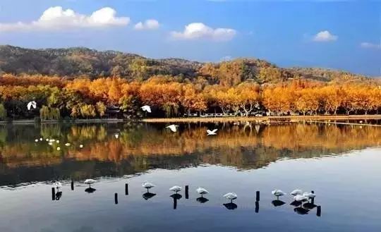 杭州西溪·素上藝術(shù)酒店，春天最美好的奇遇