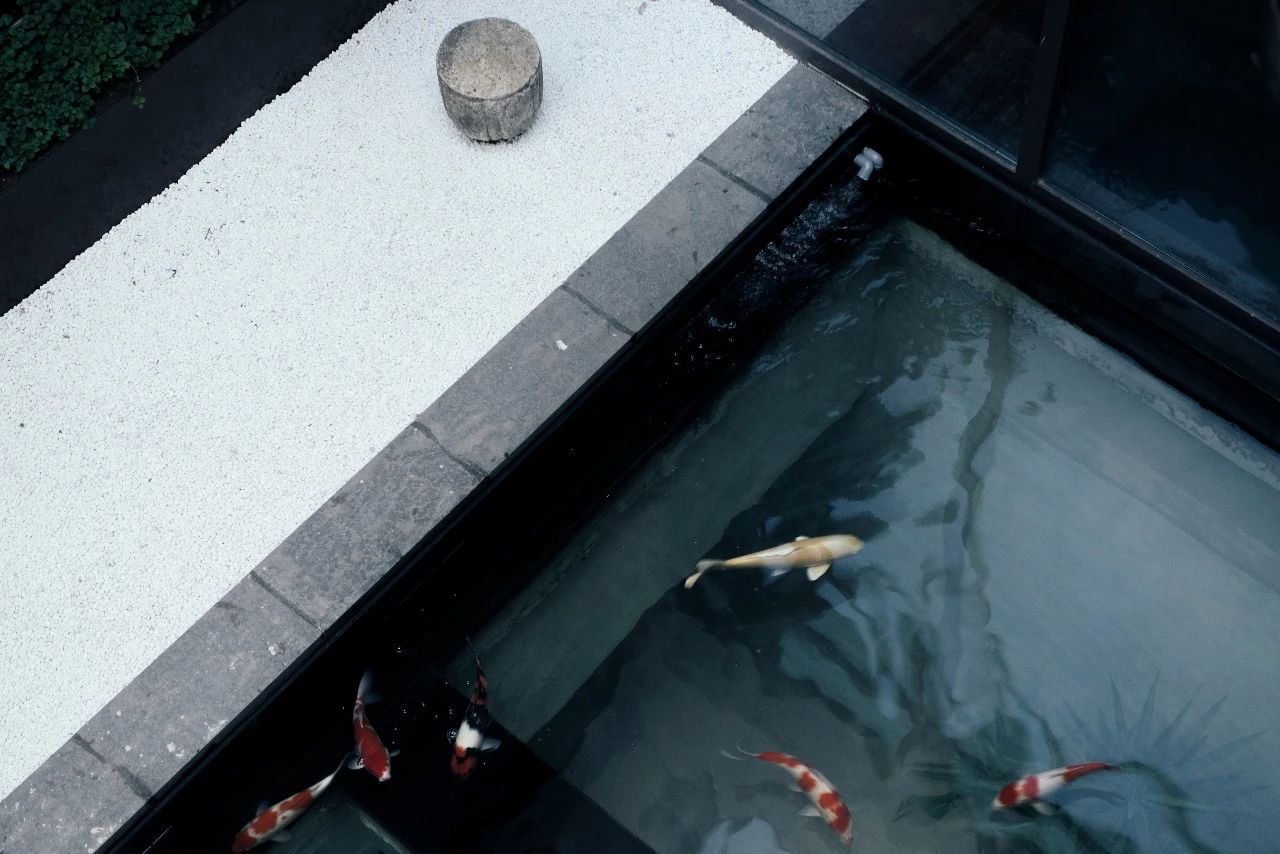 杭州西溪·素上藝術(shù)酒店，春天最美好的奇遇