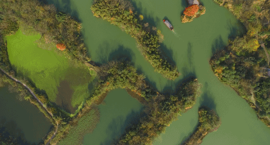 杭州西溪·素上藝術酒店，春天最美好的奇遇