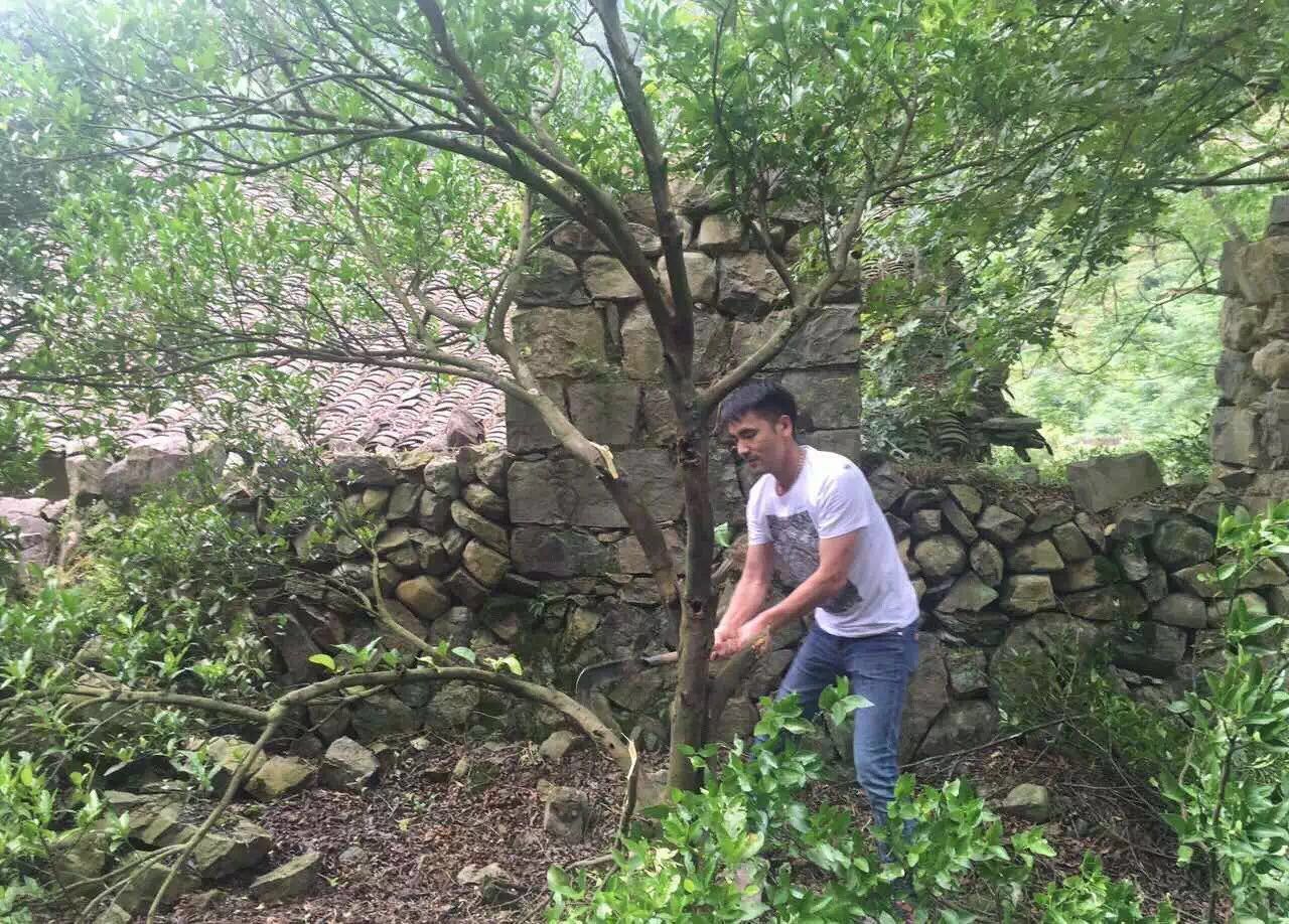 青田坐忘閣·藏書(shū)閣民宿，找回初心尋找回家的路