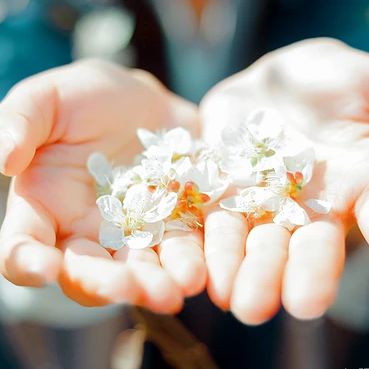 花開半夏女生頭像，唯美古風(fēng)真人頭像