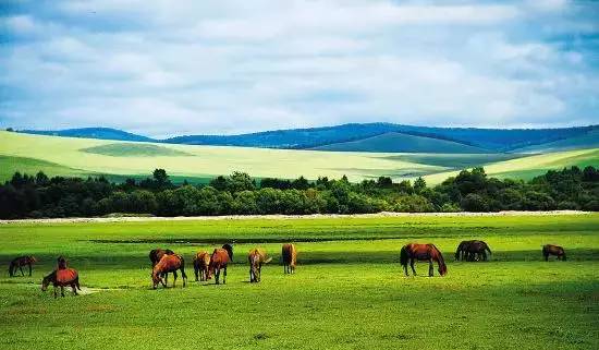 如詩(shī)如畫(huà)的草原意境，唯美風(fēng)景圖片！