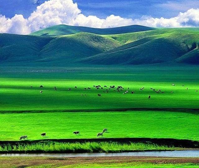 如詩(shī)如畫(huà)的草原意境，唯美風(fēng)景圖片！