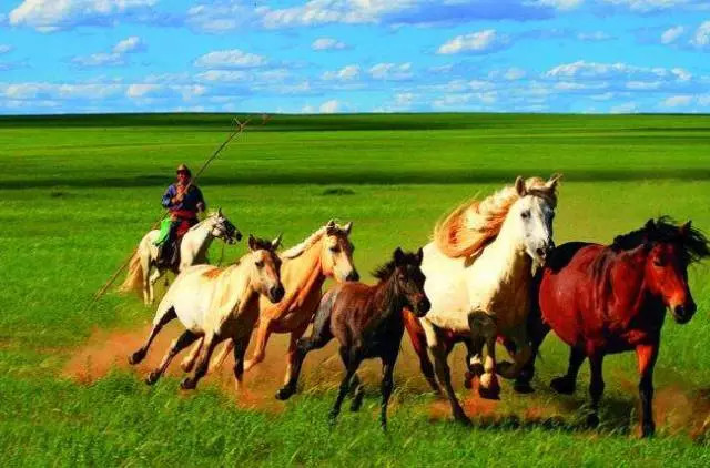 如詩(shī)如畫(huà)的草原意境，唯美風(fēng)景圖片！