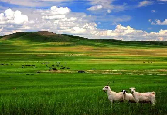 如詩(shī)如畫的草原意境，唯美風(fēng)景圖片！