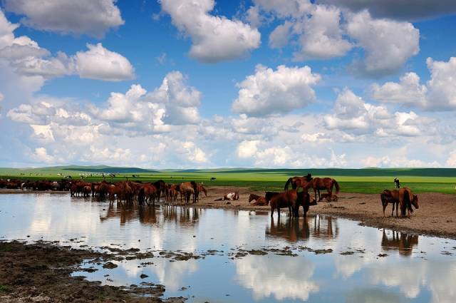 如詩如畫的草原意境，唯美風景圖片！