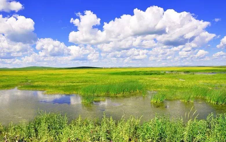 如詩(shī)如畫的草原意境，唯美風(fēng)景圖片！