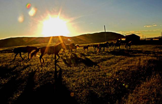 如詩如畫的草原意境，唯美風景圖片！