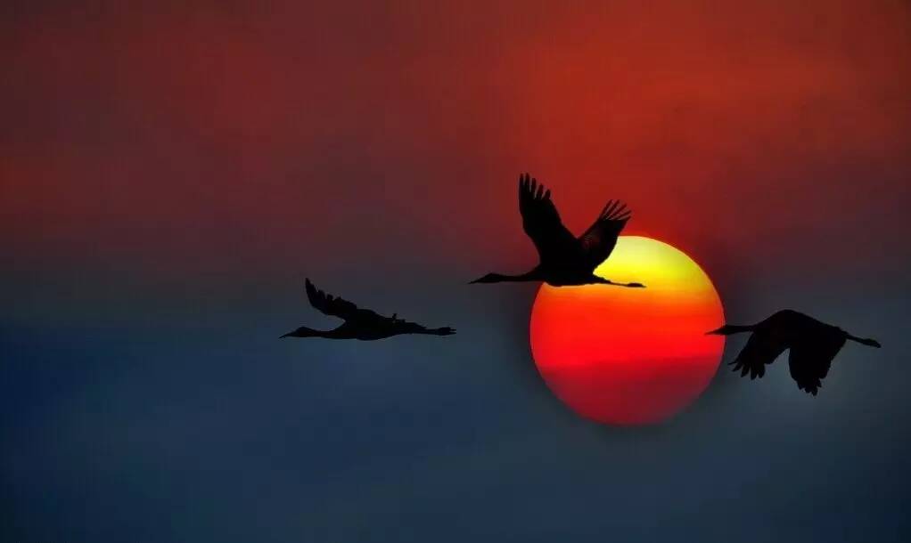 如詩如畫的草原意境，唯美風(fēng)景圖片！