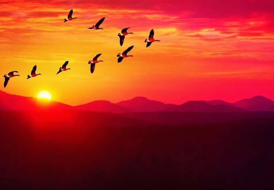 如詩如畫的草原意境，唯美風(fēng)景圖片！