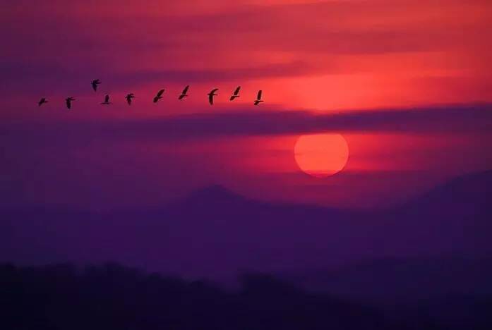 如詩如畫的草原意境，唯美風(fēng)景圖片！