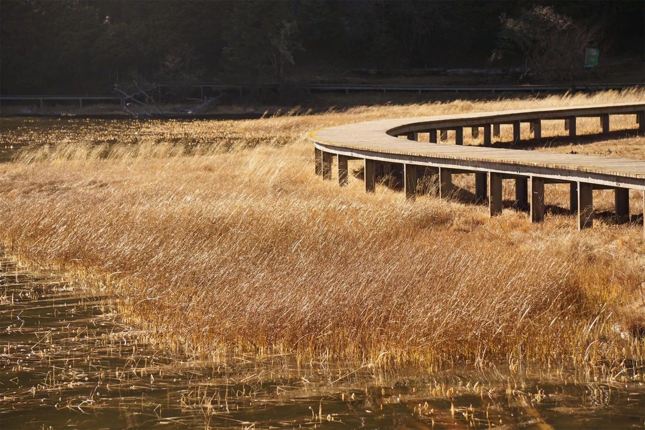 香格里拉·桔子水晶酒店，堅(jiān)持內(nèi)心最重要