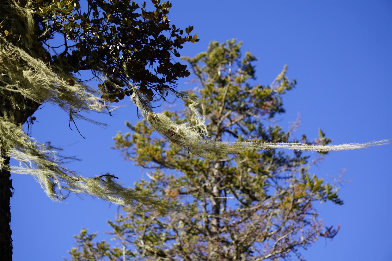 香格里拉·桔子水晶酒店，堅(jiān)持內(nèi)心最重要