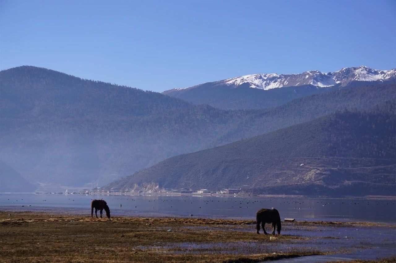 香格里拉·桔子水晶酒店，堅持內(nèi)心最重要