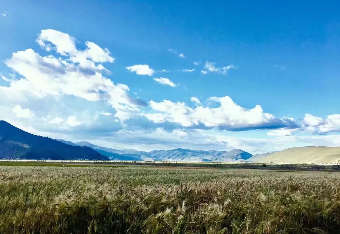 香格里拉·桔子水晶酒店，堅持內心最重要