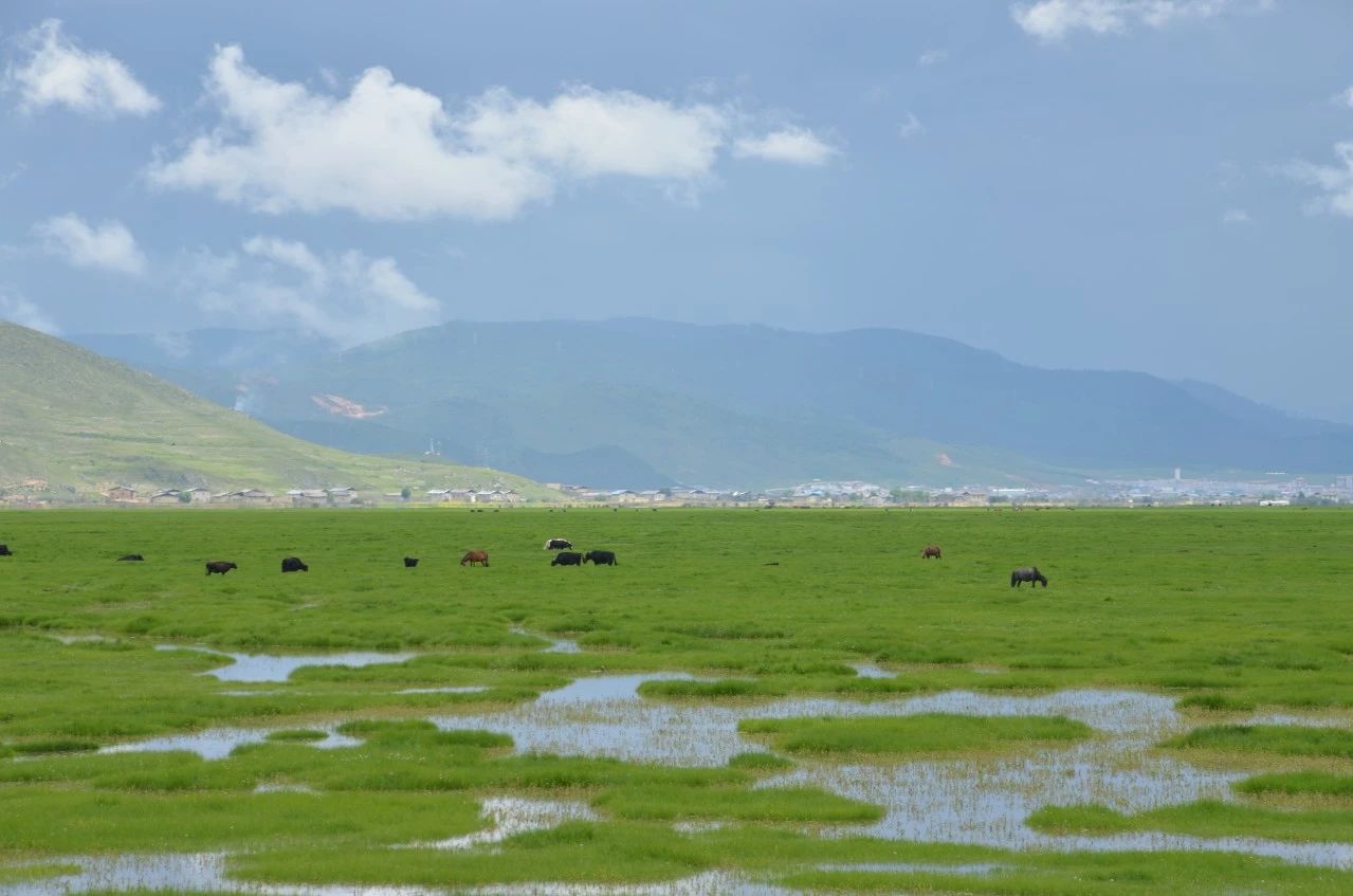 香格里拉·桔子水晶酒店，堅(jiān)持內(nèi)心最重要