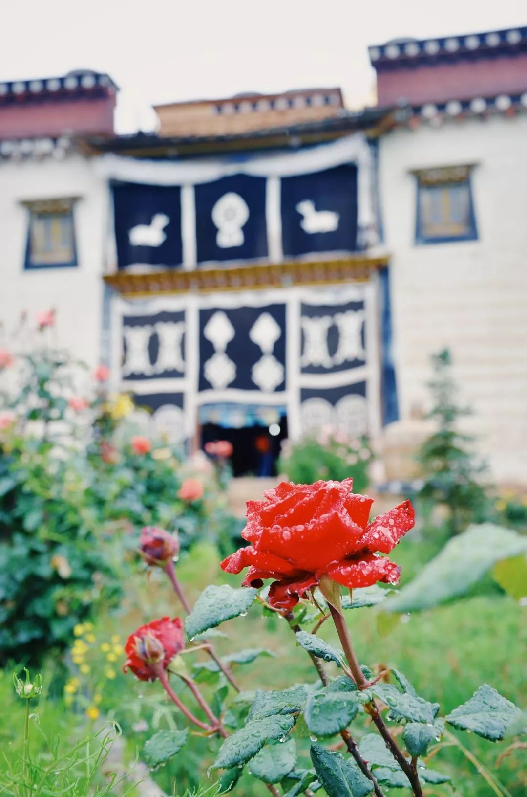 香格里拉·桔子水晶酒店，堅(jiān)持內(nèi)心最重要