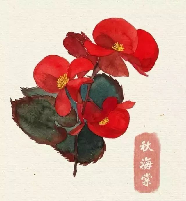 40款絕美水彩花卉手繪插畫賞析