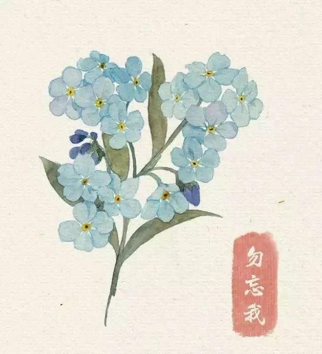 40款絕美水彩花卉手繪插畫(huà)賞析