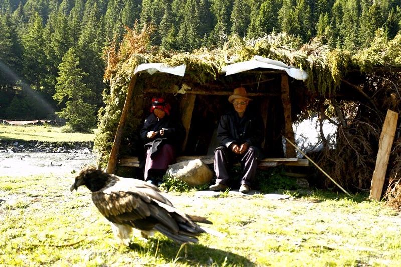 光和云朵·雪寶頂，喂馬劈柴看盡四季繁華