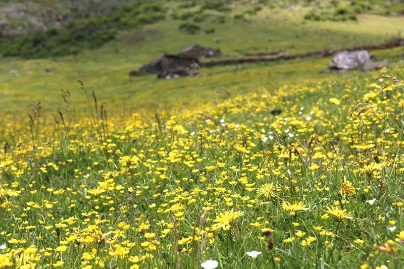 光和云朵·雪寶頂，喂馬劈柴看盡四季繁華