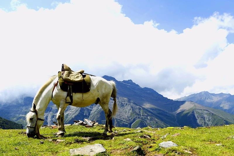 光和云朵·雪寶頂，喂馬劈柴看盡四季繁華