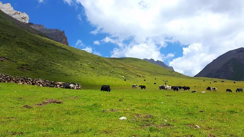 光和云朵·雪寶頂，喂馬劈柴看盡四季繁華