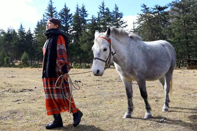 光和云朵·雪寶頂，喂馬劈柴看盡四季繁華
