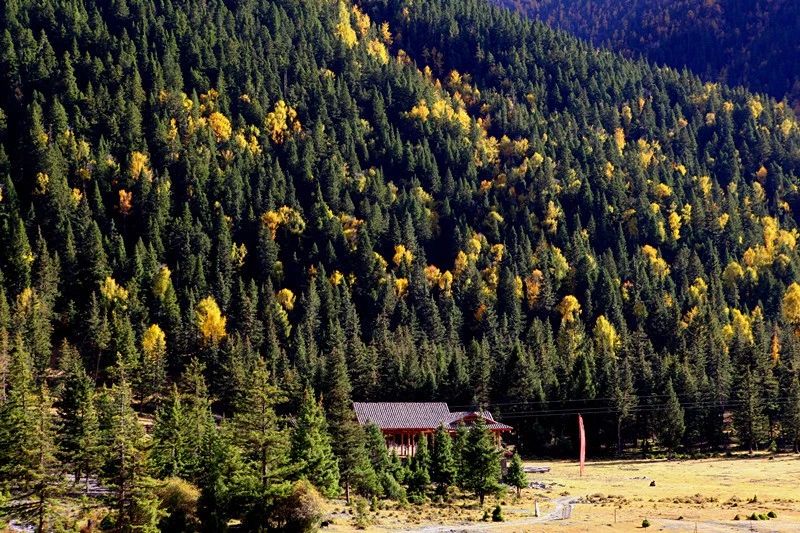 光和云朵·雪寶頂，喂馬劈柴看盡四季繁華