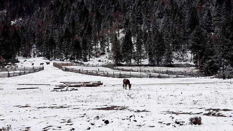 光和云朵·雪寶頂，喂馬劈柴看盡四季繁華