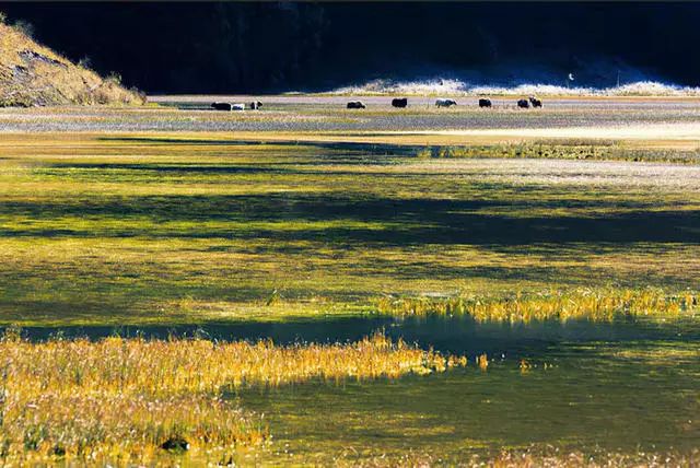 光和云朵·雪寶頂，喂馬劈柴看盡四季繁華