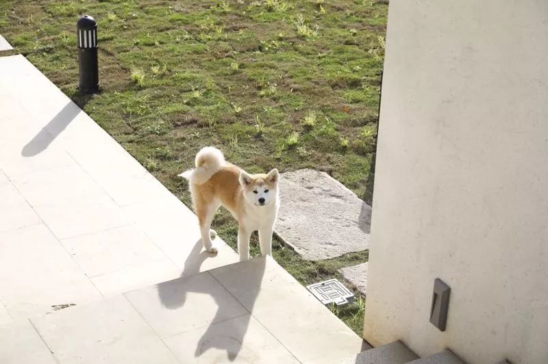 莫干山·梵谷，回歸自然的日子才是最難得