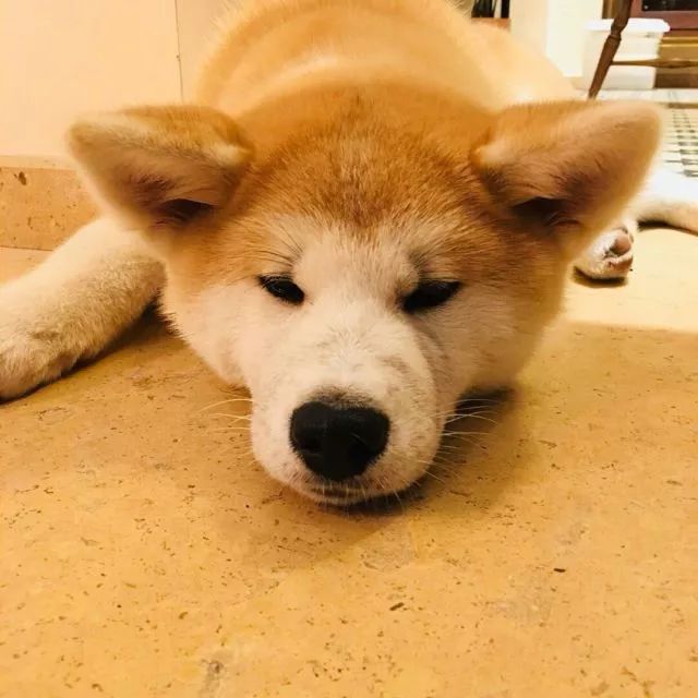 莫干山·梵谷，回歸自然的日子才是最難得