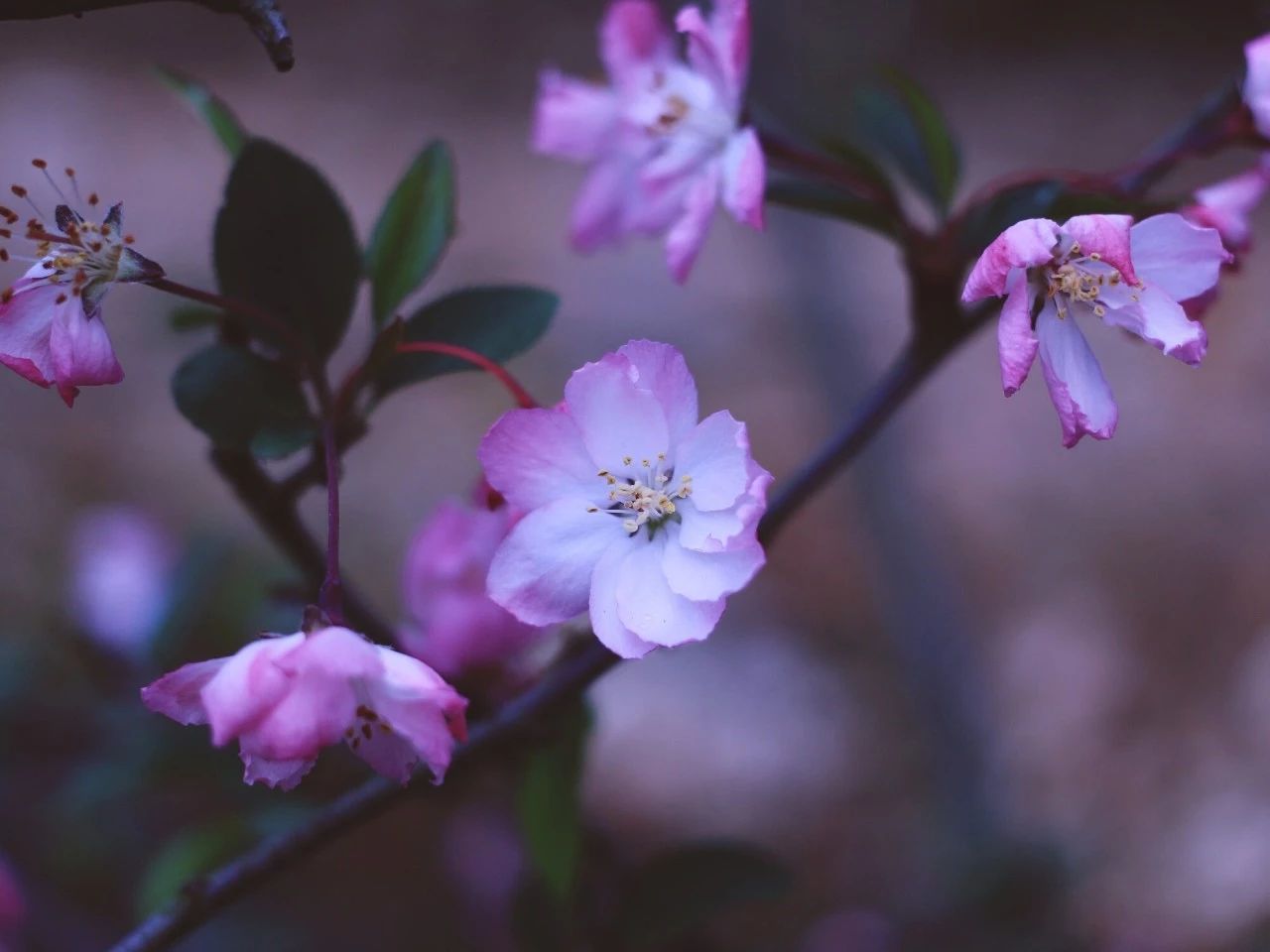 莫干山·梵谷，回歸自然的日子才是最難得