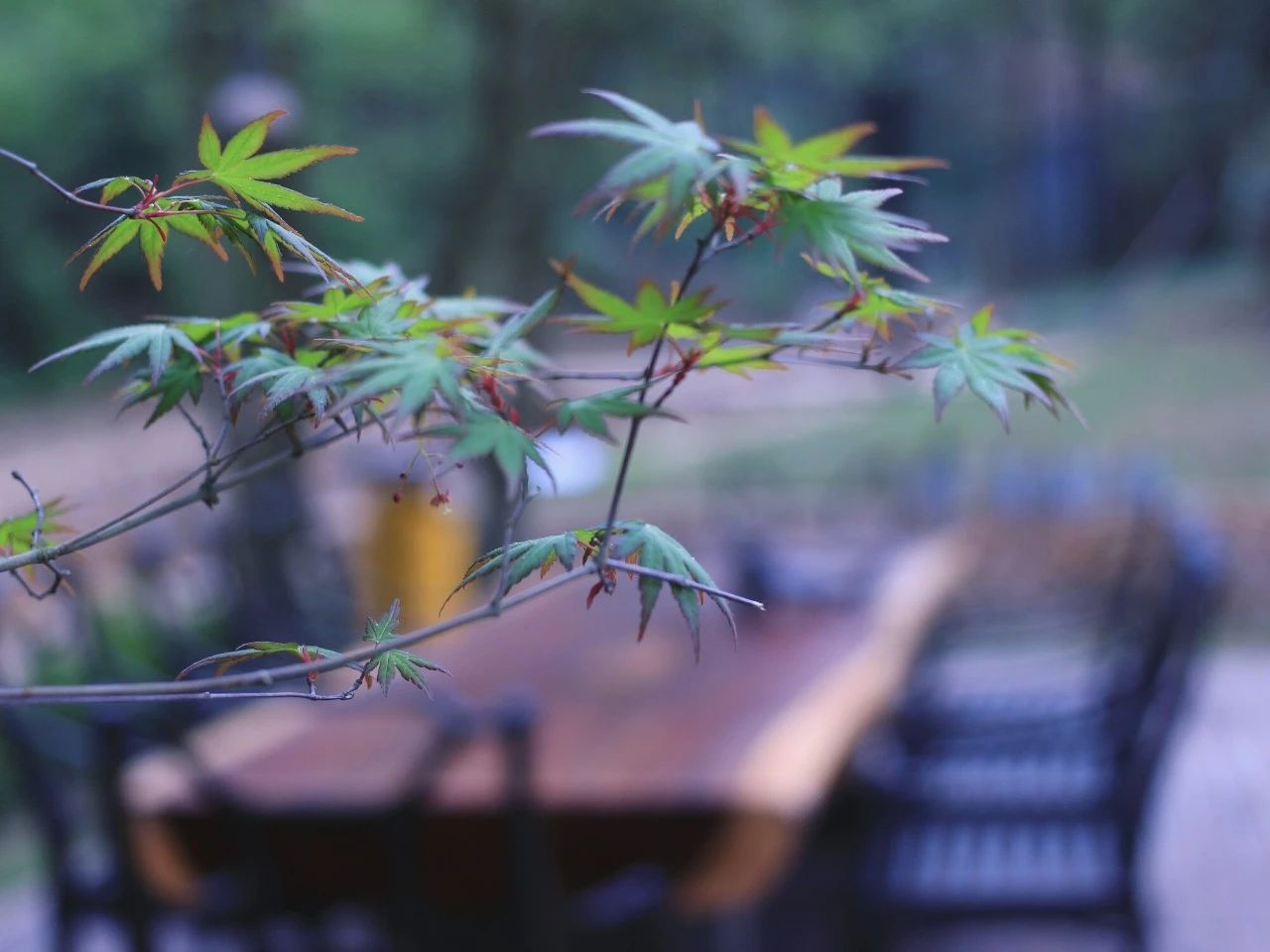 莫干山·梵谷，回歸自然的日子才是最難得