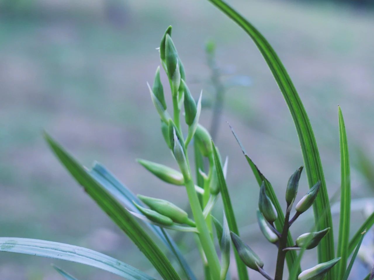 莫干山·梵谷，回歸自然的日子才是最難得