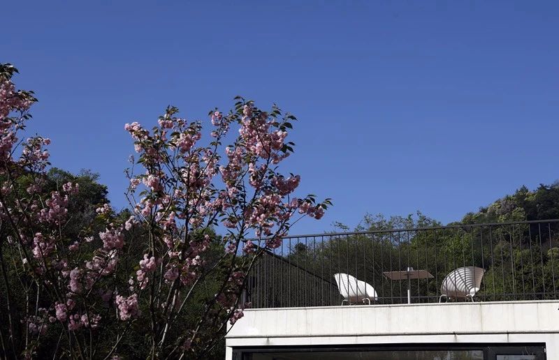 莫干山·梵谷，回歸自然的日子才是最難得