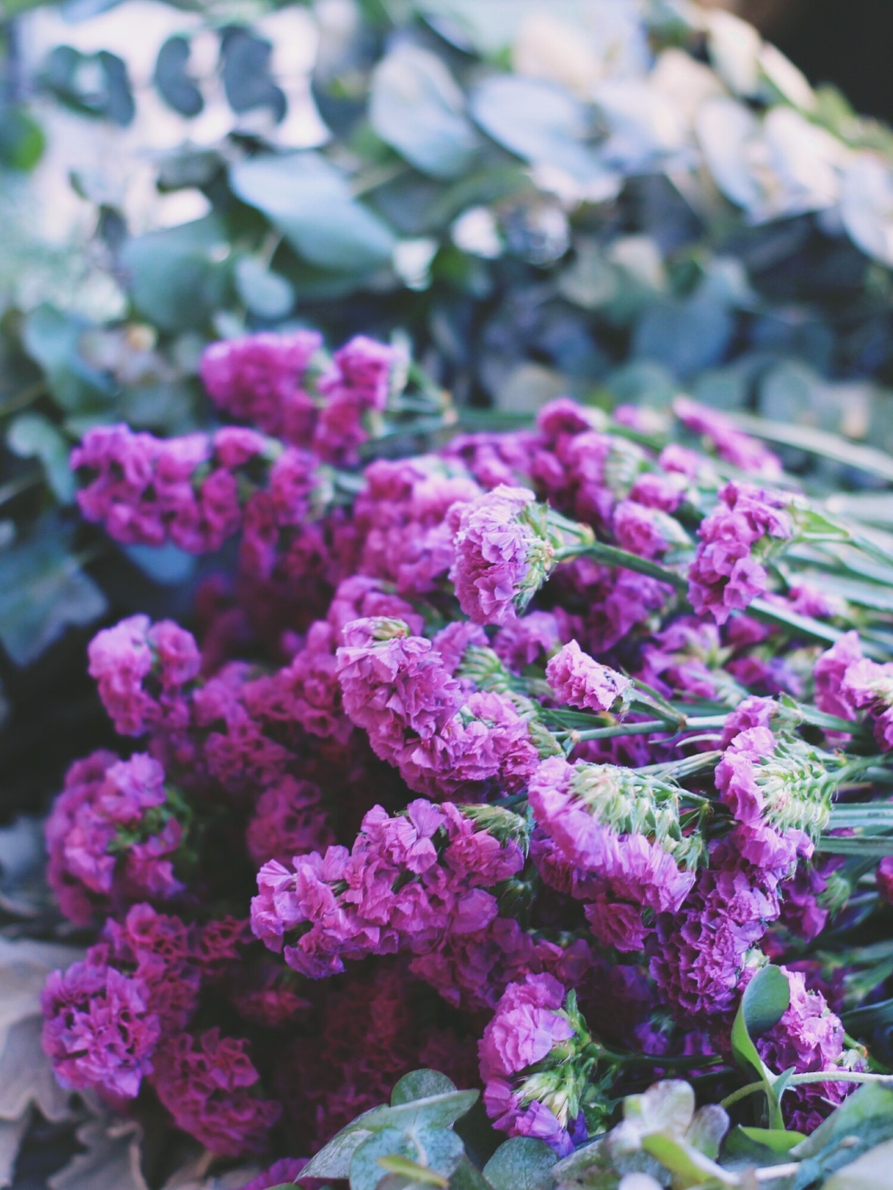 莫干山·梵谷，回歸自然的日子才是最難得