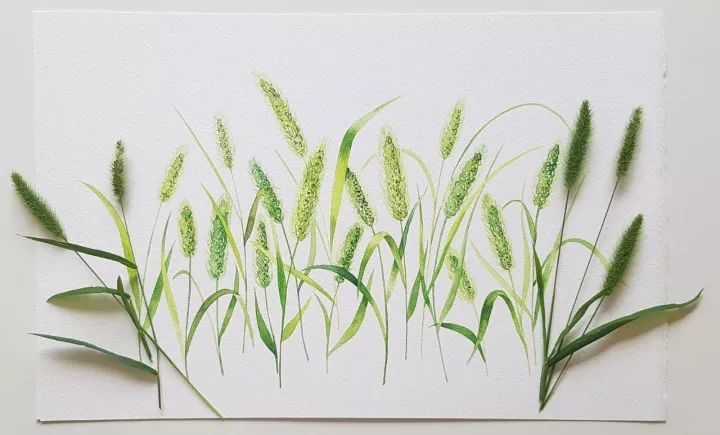 四季水彩花卉插畫，驚艷唯美!