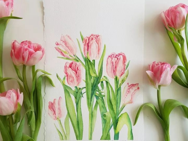 四季水彩花卉插畫，驚艷唯美!