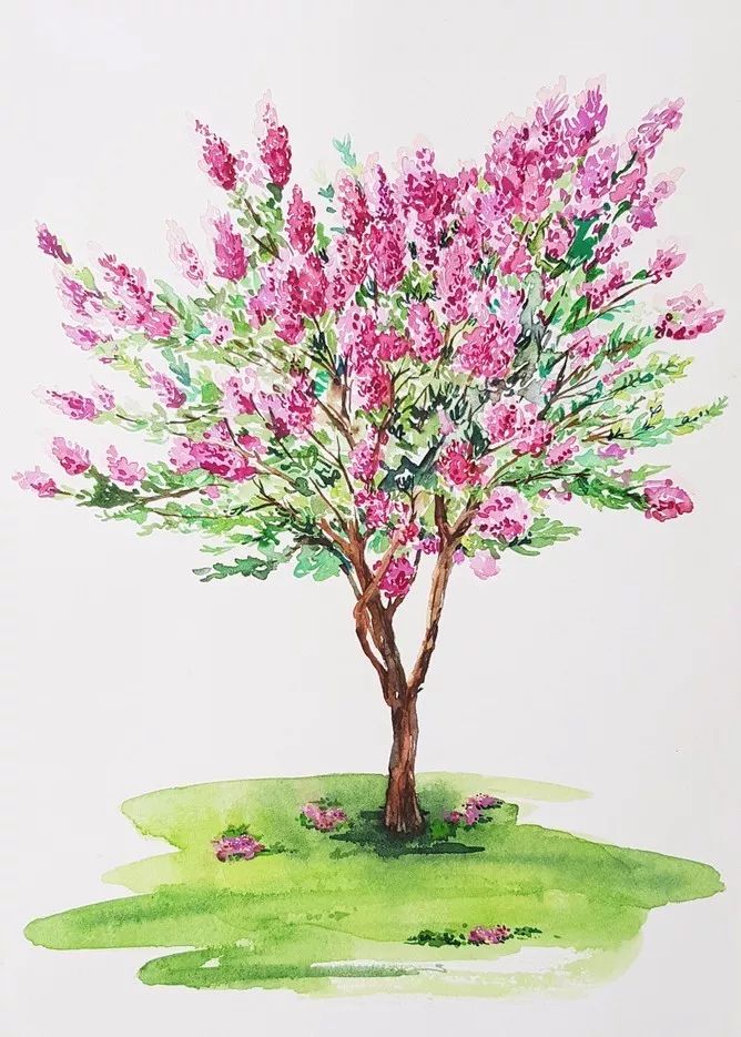 四季水彩花卉插畫，驚艷唯美!