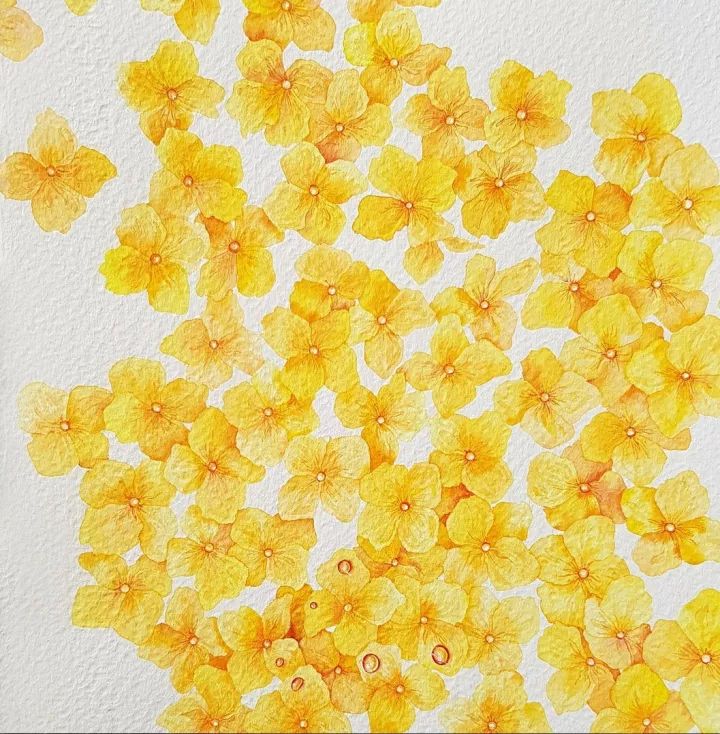 四季水彩花卉插畫，驚艷唯美!