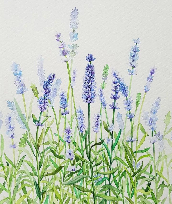 四季水彩花卉插畫，驚艷唯美!