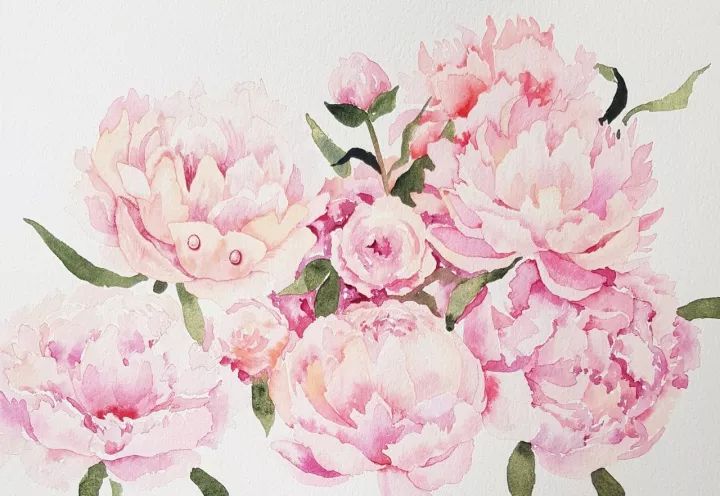 四季水彩花卉插畫，驚艷唯美!