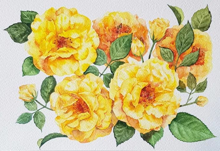 四季水彩花卉插畫，驚艷唯美!