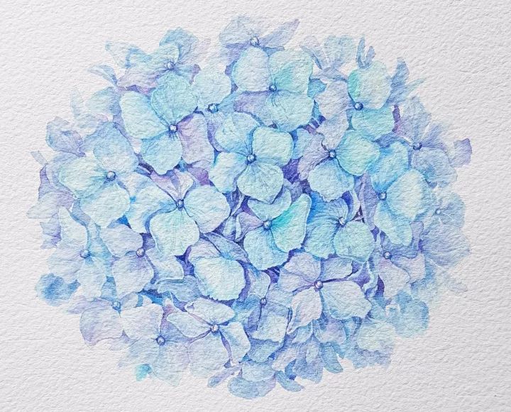 四季水彩花卉插畫，驚艷唯美!