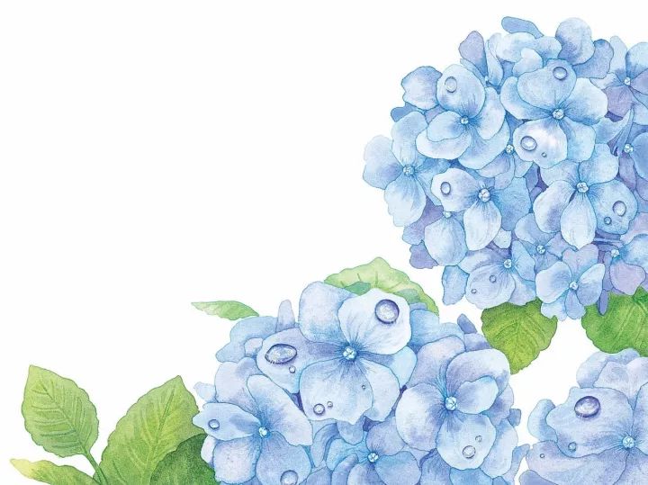 四季水彩花卉插畫，驚艷唯美!