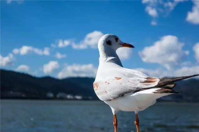 昆明·will酒店，守著這份初心遇見有趣的靈魂
